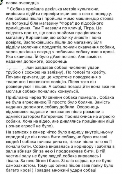 
 Вбивство собаки у супермаркеті Гостомеля: з'явилися відео з камер та нові подробиці
 