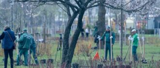 "1 мільйон дерев пам’яті та життя": киян запрошують долучитися до екологічної акції