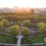 У Київ йде тепло, але за ним — нова хвиля холоду: коли очікувати снігу та заморозків