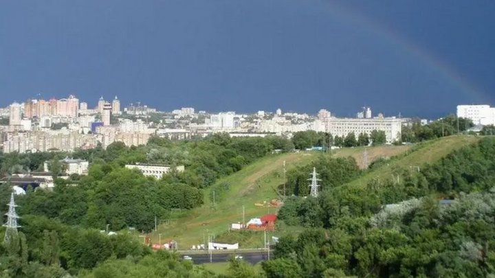 Прибирали і знайшли бойову гранату: у Протасовому Яру провели толоку