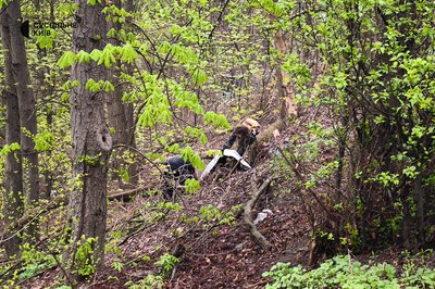 Прибирали і знайшли бойову гранату: у Протасовому Яру провели толоку