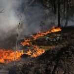 Пожежа у Чорнобильській зоні триває: МВС повідомило про рівень радіації в Україні на 8 травня