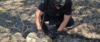 На Київщині жителі знайшли бойову частину БпЛА "Герань-2"