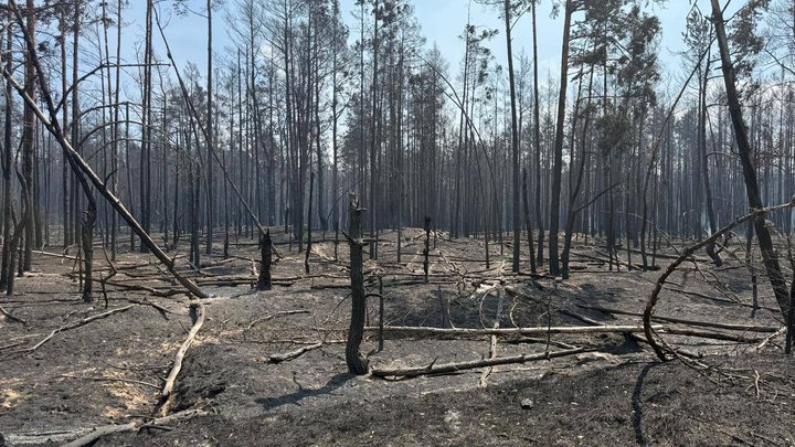 У Чорнобильській зоні продовжують гасити пожежу