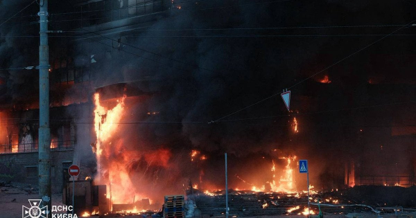 
 Артеміда з Лук&rsquo;янівки: кішка, яка вижила після ракетного удару по Києву, бореться за життя (фото)
 