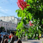До Києва після нашестя холоднечі прийде потепління: синоптики назвали точну дату зміни погоди