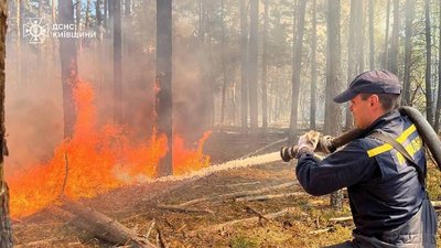 У Чорнобильській зоні загасили масштабну лісову пожежу, яка вирувала кілька днів