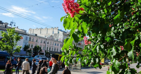 
 На&nbsp;Київ разом з&nbsp;потеплінням суне небезпека: синоптики попередили про новий "сюрприз" від погоди
 