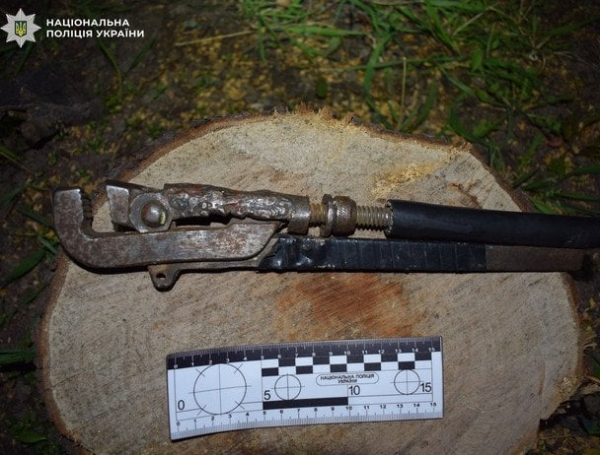 
 У&nbsp;Києві 18-річний молодик накинувся на&nbsp;жінку з&nbsp;арматурою: деталі, фото
 