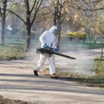 12 випадків хвороби Лайма у Києві від початку року: як захиститись від укусу кліща