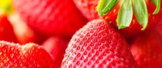 Продуктовые ярмарки в Киеве 9-10 мая: адреса