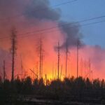 У Чорнобильській зоні загасили масштабну лісову пожежу, яка вирувала кілька днів