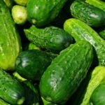 Продуктовые ярмарки в Киеве 23-24 мая: адреса