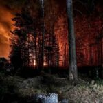 У Чорнобильській зоні продовжують гасити пожежу