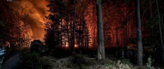 У Чорнобильській зоні продовжують гасити пожежу