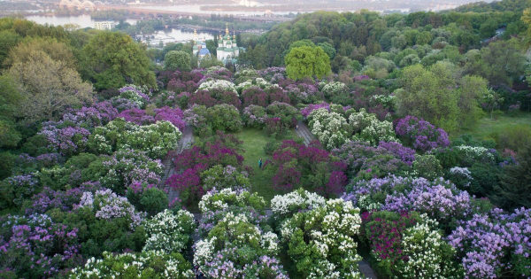 
 Погода в&nbsp;Києві різко зіпсується: коли вдарить пік нового похолодання та&nbsp;чекати повернення тепла
 