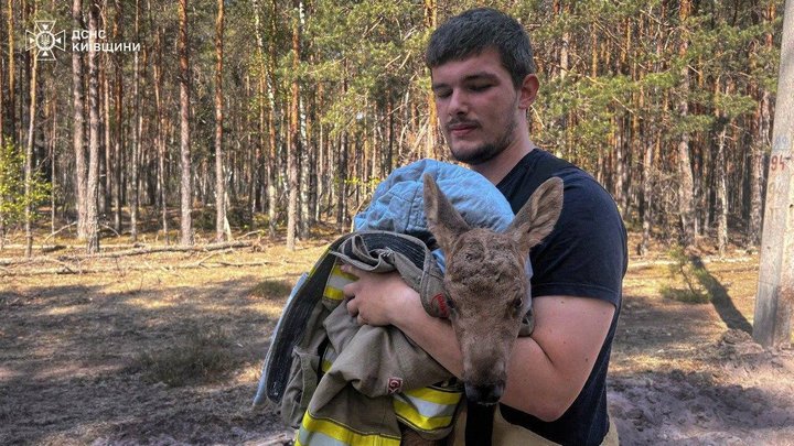 Загоряння виникло внаслідок падіння двох БпЛА: у Зоні відчуження гасять пожежу