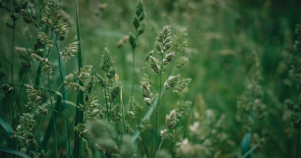 Градуси підуть на спад: якою буде погода в Києві та на Київщині 23 червня