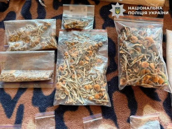 Перевтілювався в "Ельвіру" та пригощав кетаміном: у Києві поліція накрила організатора тематичних вечірок