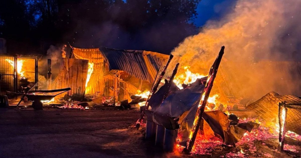 Під Києвом сталася пожежа у притулку для тварин: згоріли вольєри та кухня, загинули собаки