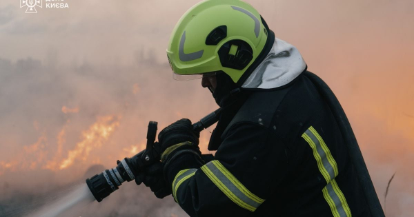 "Кожне життя безцінне": рятувальники боролися за життя котика, що постраждав від атаки РФ на Київ (відео)