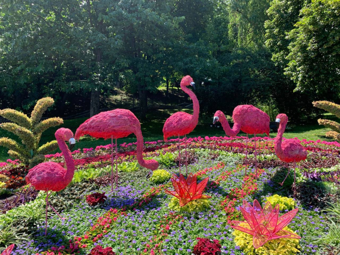 Полюбуйся: на Спивочем поле заработала выставка цветов с дикими животными фото