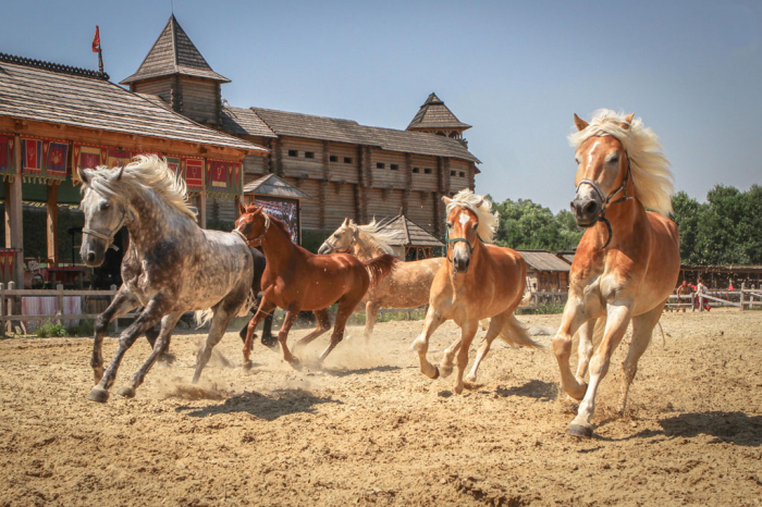 Посетители увидят редкие породы коней. Фото: "Парк Киевская Русь"