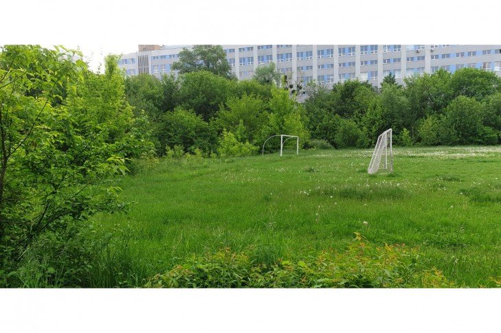 Сохранить стадион: активисты просят не застраивать "Науку-комфорт" на Академгородке