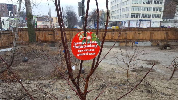 Деревья, которые сажали местные жители. Фото: vozdvizhenka.org.ua